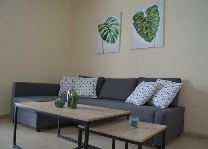 Lola فيلة بلايا بلانكا