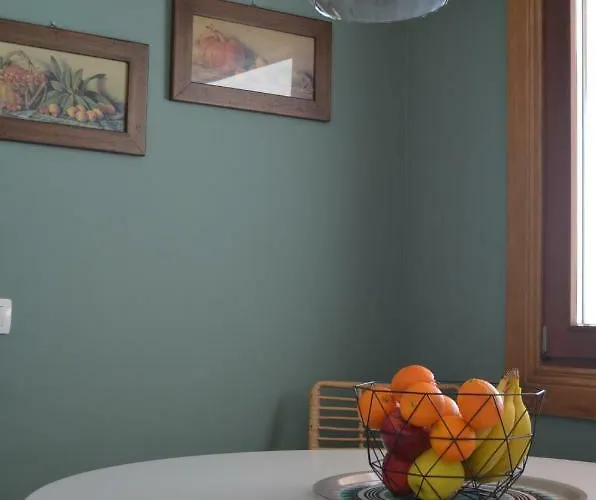 Lola فيلة بلايا بلانكا